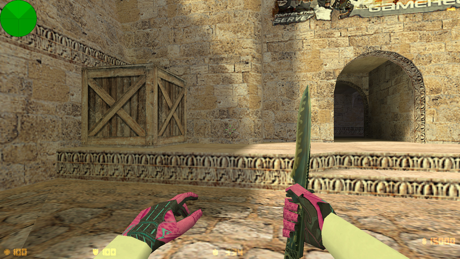 CS 1.6 с вытянутыми руками